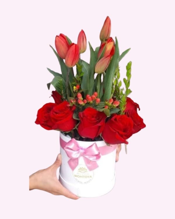 Box de Tulipanes y Rosas