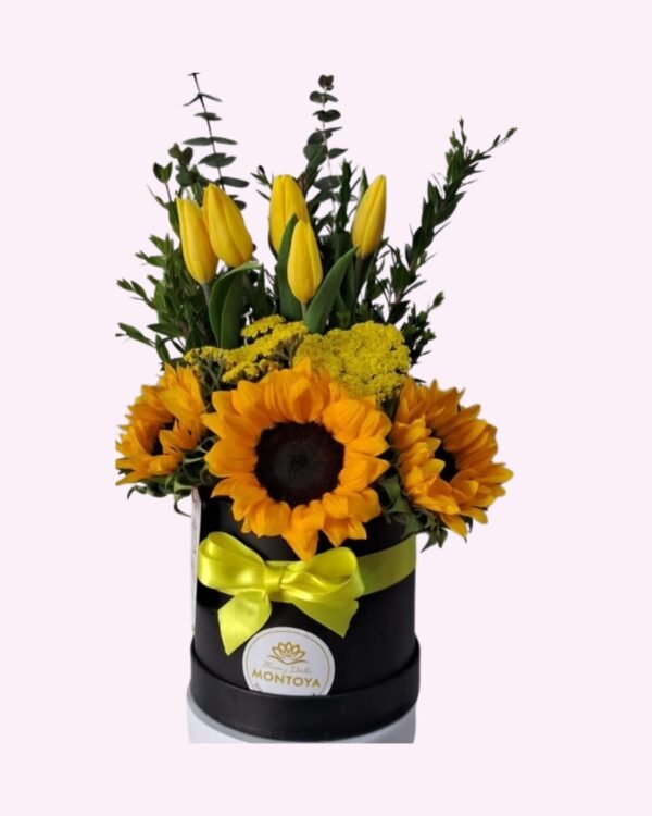 Box de Tulipanes y Girasoles