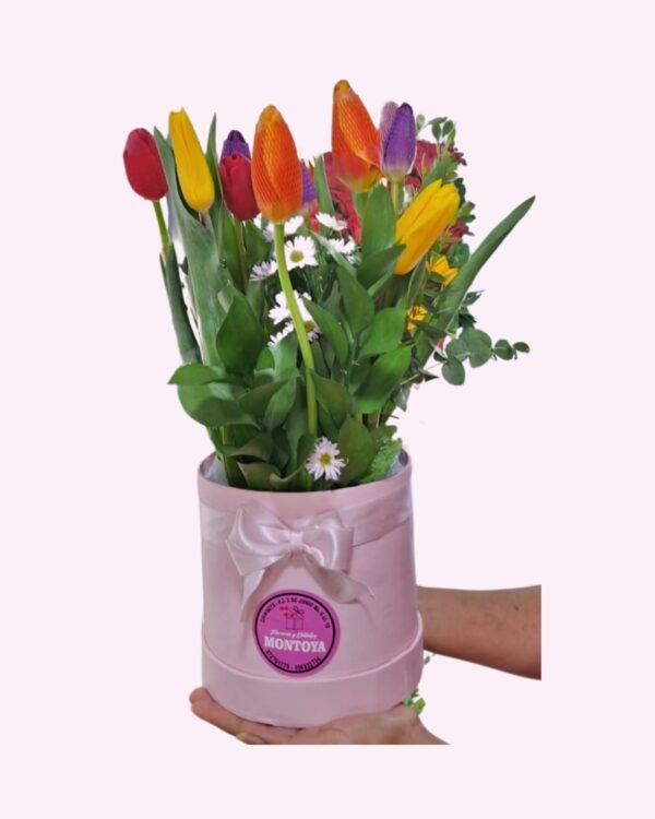 Box de 10 Tulipanes